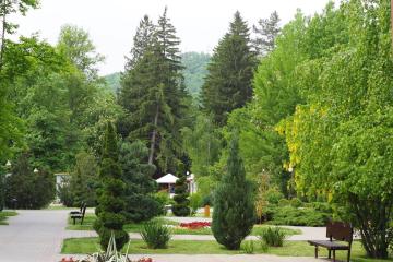 Фото №4: Земельный участок 8.34 сот. - Безымянное, ул. Таманская, 39