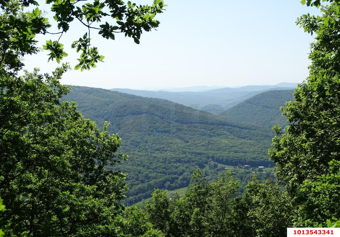 Фото №6: Земельный участок 8.34 сот. - Безымянное, ул. Таманская, 39