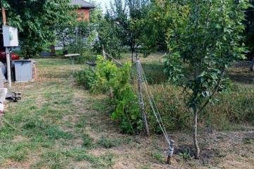 Фото №2: Земельный участок 6 сот. - Елизаветинская, ст Роднички, ул. Клубничная, 8