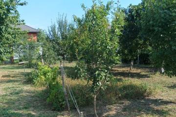 Фото №1: Земельный участок 6 сот. - Елизаветинская, ст Роднички, ул. Клубничная, 8