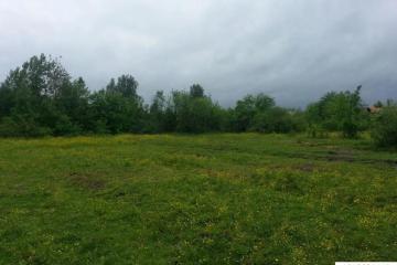 Фото №1: Земельный участок 25 сот. - Новопетровский, мкр. Музыкальный, ул. Таманская, 41