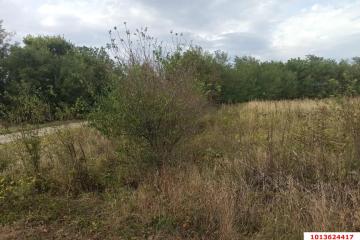 Фото №5: Земельный участок 25 сот. - Новопетровский, мкр. Музыкальный, ул. Таманская, 41