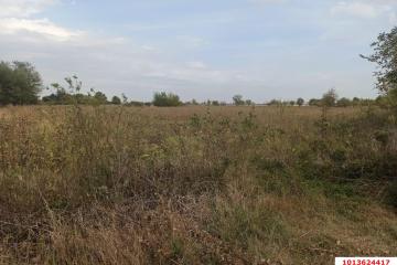 Фото №4: Земельный участок 25 сот. - Новопетровский, мкр. Музыкальный, ул. Таманская, 41