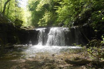 Фото №4: Земельный участок 41.84 сот. - Хребтовое, ул. Изумрудная, 17