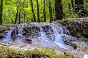 Фото №3: Земельный участок 41.84 сот. - Хребтовое, ул. Изумрудная, 17