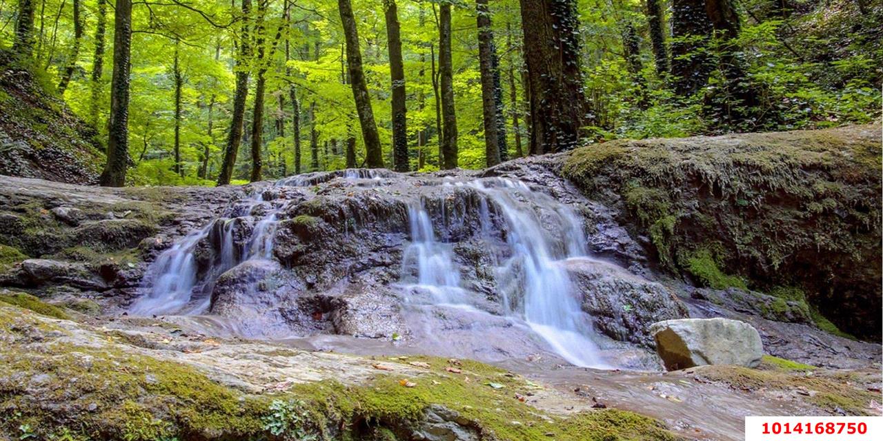 Фото №3: Земельный участок 41.84 сот. - Хребтовое, ул. Изумрудная, 17