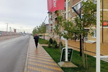 Фото №1: Коммерция 37 м² - Южный, мкр. жилой комплекс История, ул. Екатерининская, 1к2