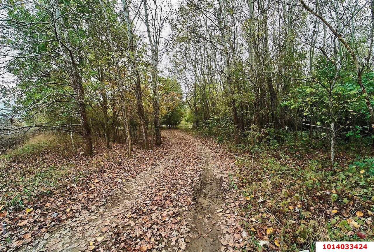 Фото №10: Земельный участок 6 сот. - Краснодарский край муниципальный округ Горячий Ключ