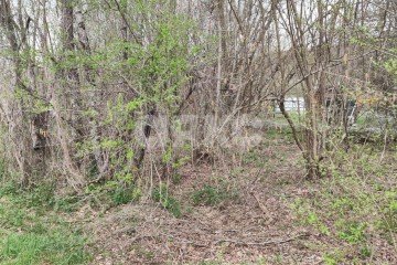 Фото №2: Участок садоводство - садовые участки Лесник, 138