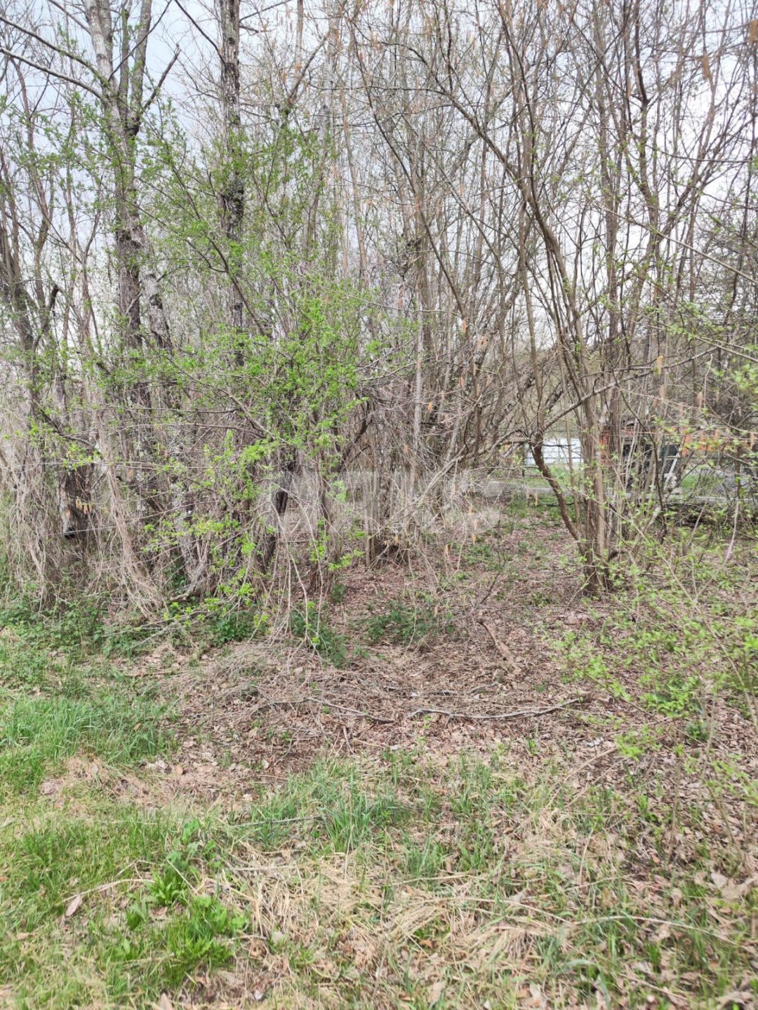 Фото №2: Участок садоводство 6 сот. - садовые участки Лесник, 138