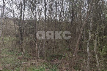 Фото №3: Участок садоводство - садовые участки Лесник, 138