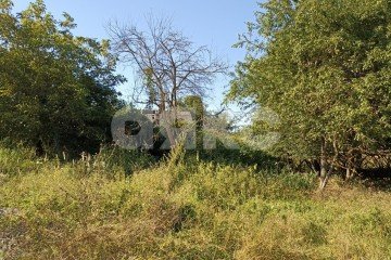 Фото №5: Земельный участок под ИЖС - Имеретинская, ул. Шоссейная