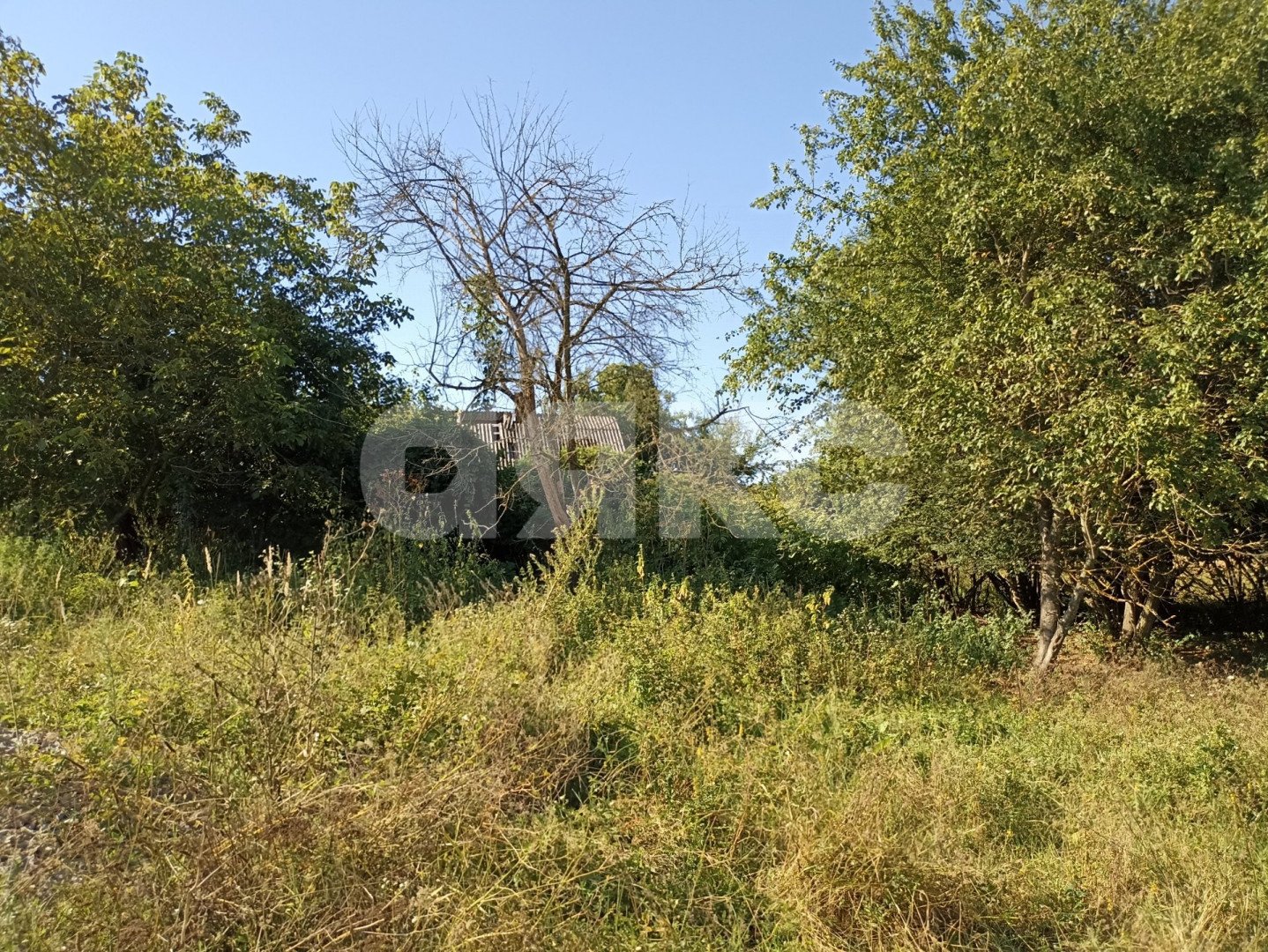 Фото №5: Земельный участок под ИЖС 26 сот. - Имеретинская, ул. Шоссейная