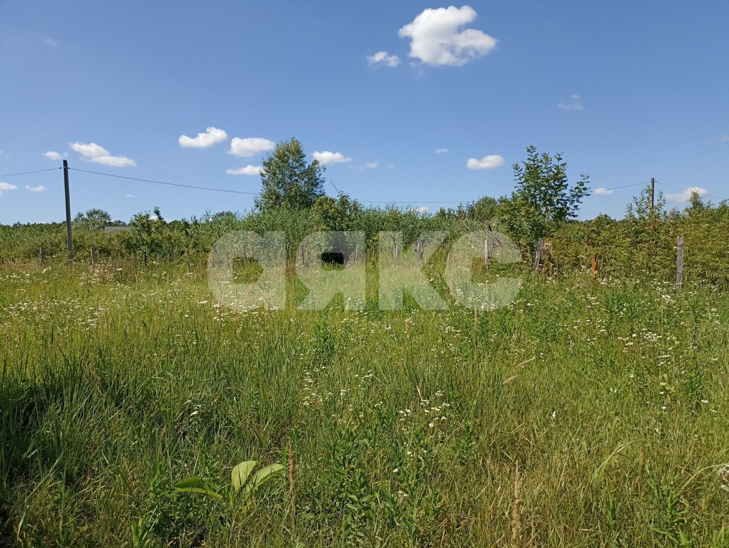 Фото №4: Участок садоводство 6 сот. - Мебельщик