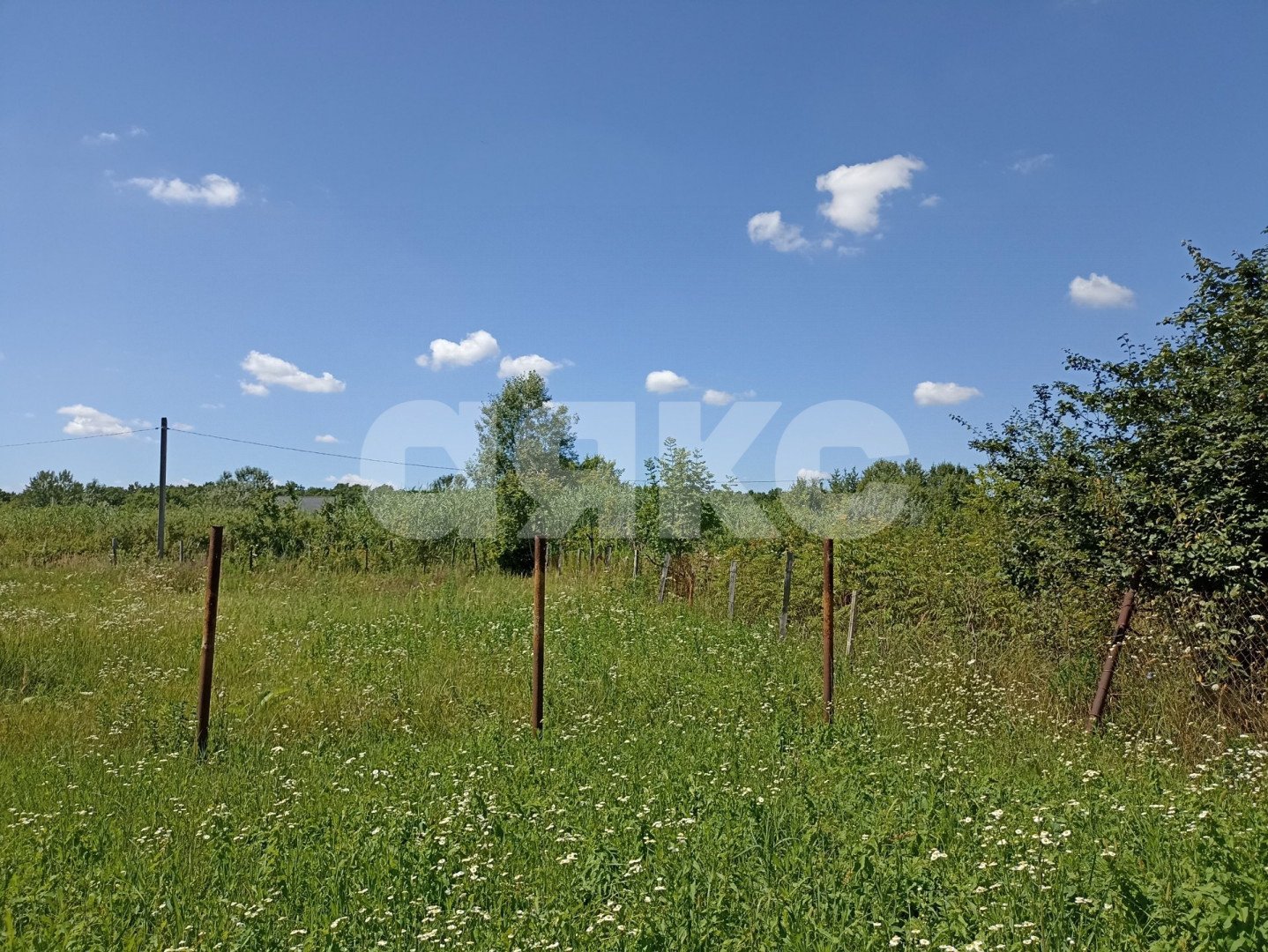 Фото №3: Участок садоводство 6 сот. - Мебельщик