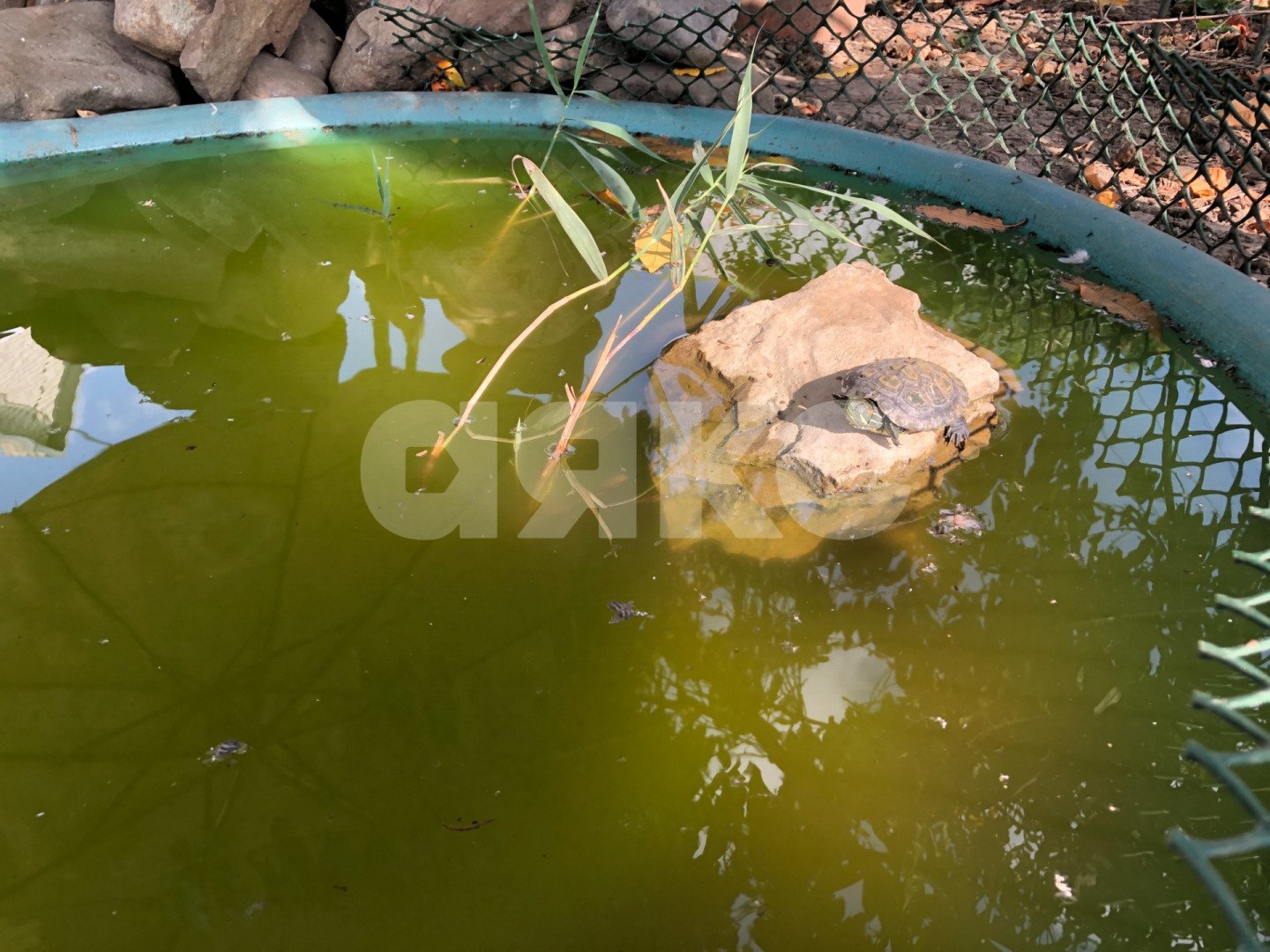 Фото №22: Дом 121 м² + 5 сот. - Горячий Ключ, мкр. Старый Рынок, ул. Калинина