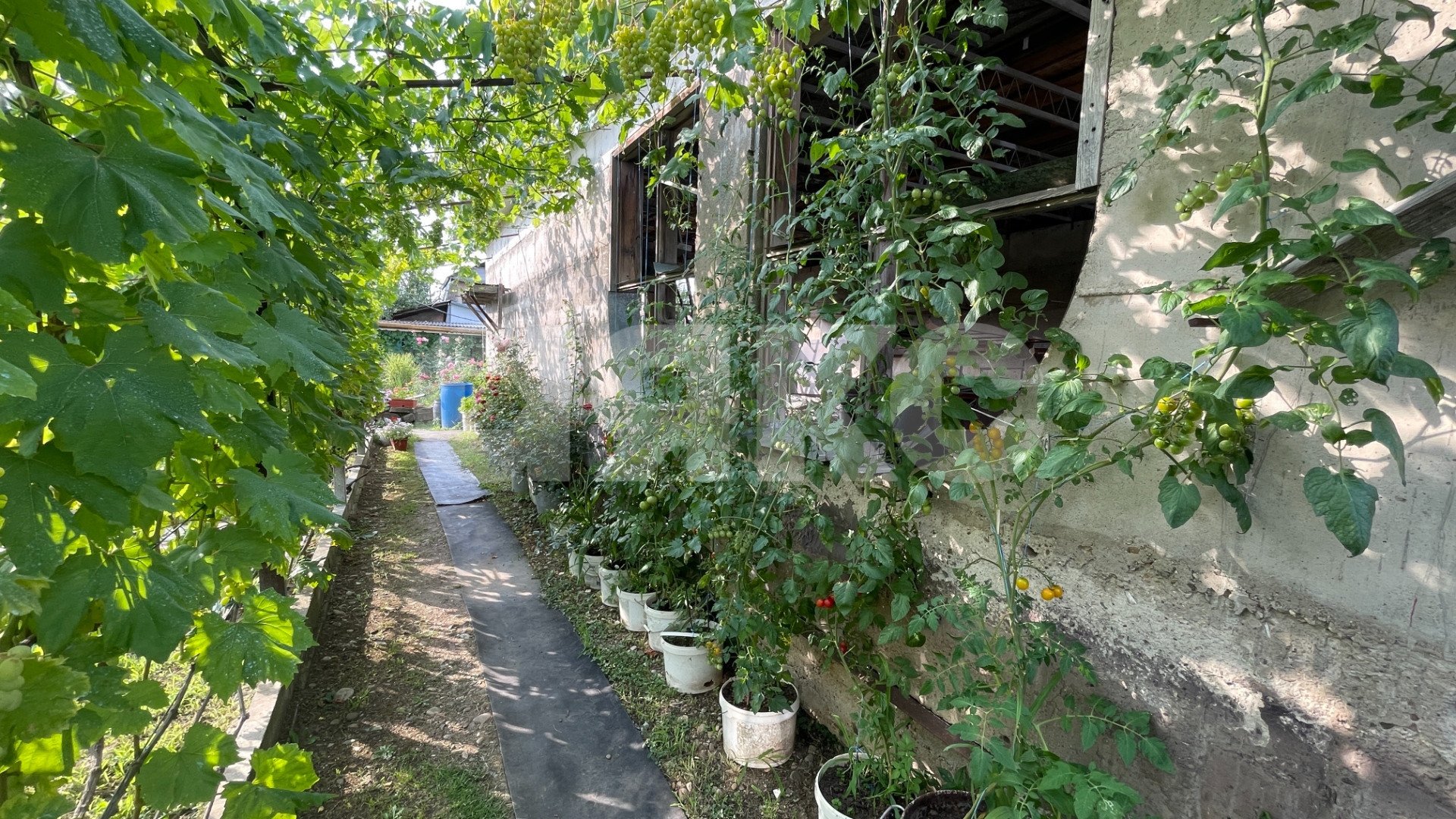 Фото №2: Земельный участок под ИЖС 15 сот. - Горячий Ключ, Дубрава, Развилка, жилой комплекс Дубрава, Администрация, жилой комплекс Горячий, Развилка, мкр. жилой комплекс Дубрава, ул. Ярославского