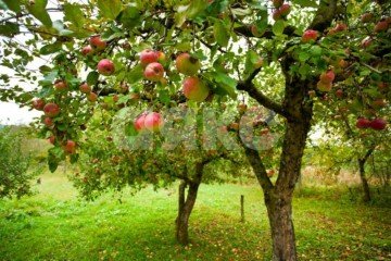 Фото №1: Коммерческая земля - Саратовская, мкр. ЖК Горячий, ул. Табачная, 3Б