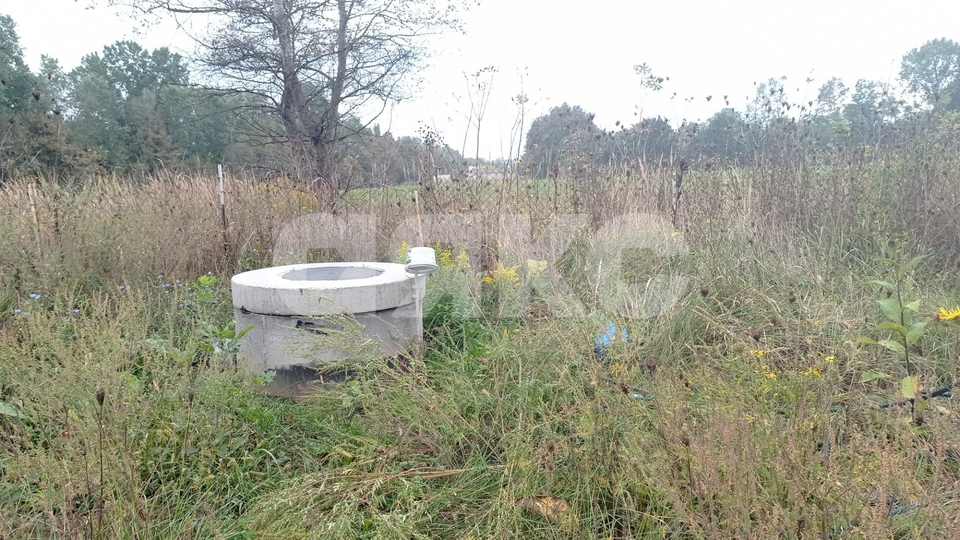 Фото №11: Дом 31 м² + 6 сот. - Саратовская, ул. Черёмуховая