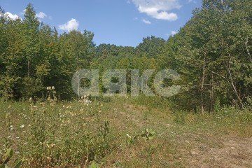 Фото №4: Дом 28 м² - Саратовская, мкр. 4-й, ул. Клубничная