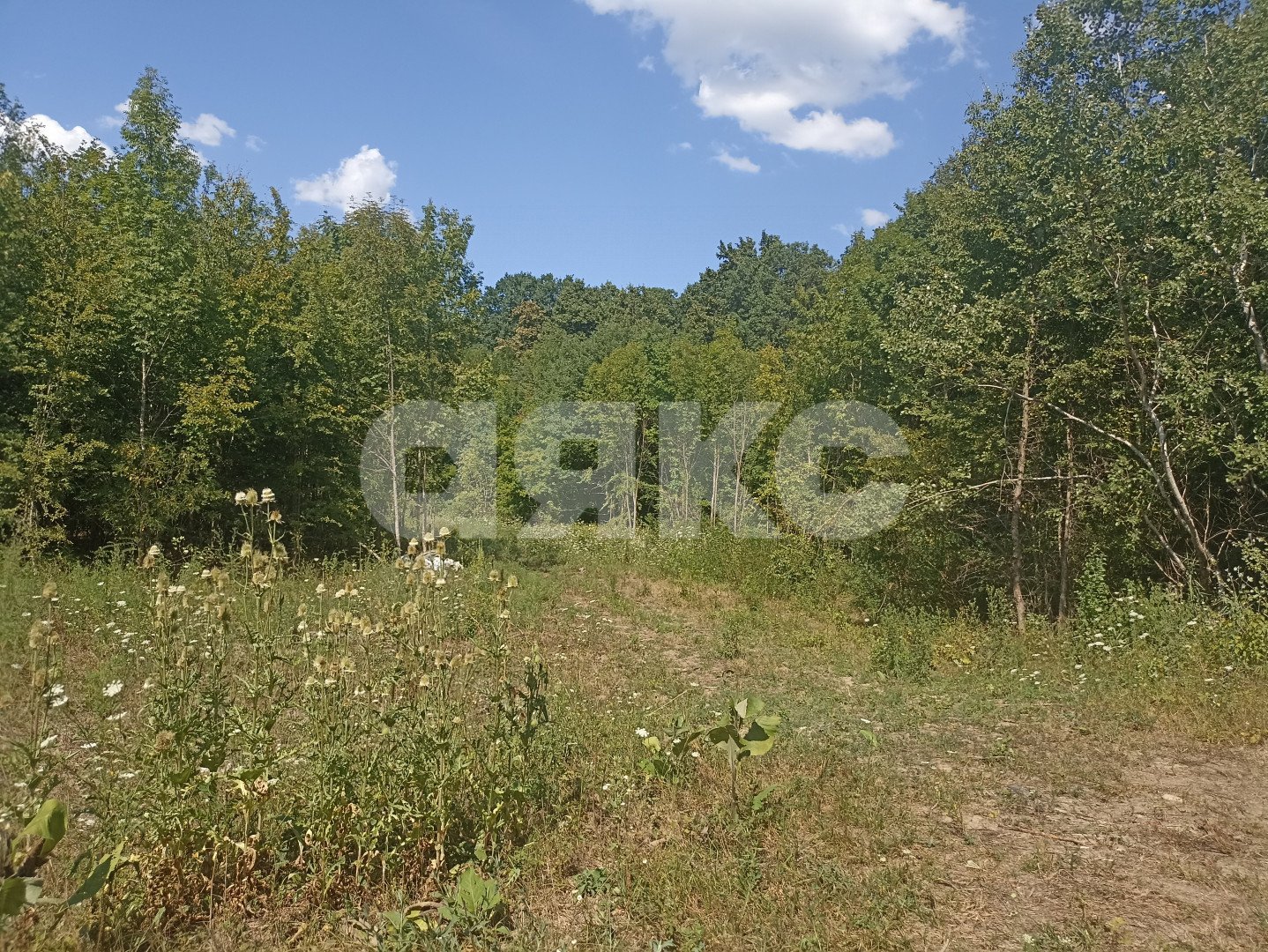 Фото №4: Дом 28 м² + 5.6 сот. - Саратовская, мкр. 4-й, ул. Клубничная