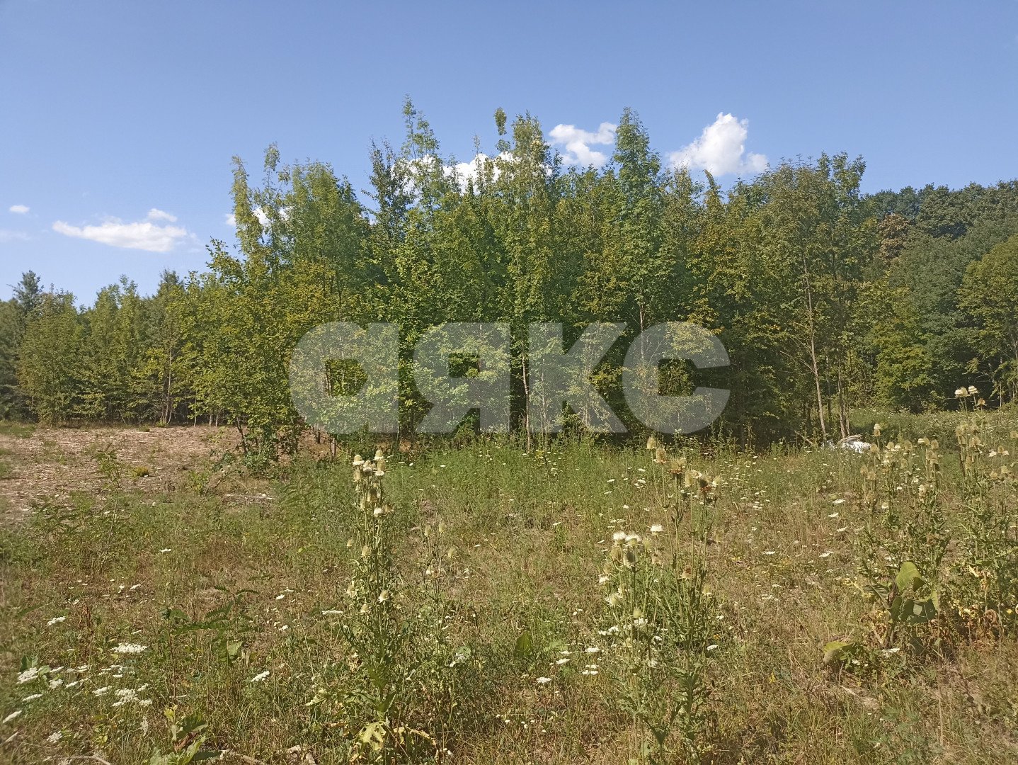 Фото №3: Дом 28 м² + 5.6 сот. - Саратовская, мкр. 4-й, ул. Клубничная