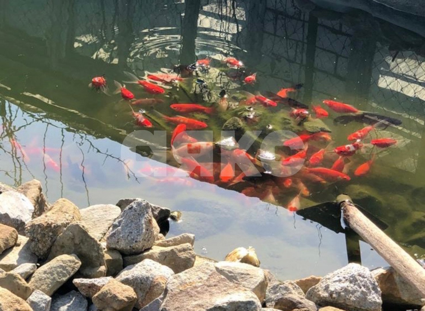 Фото №19: Дуплекс 258 м² + 8.5 сот. - Горячий Ключ, Развилка, мкр. Развилка, ул. Строителей