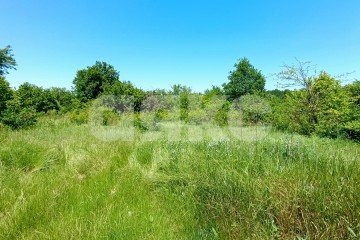 Фото №3: Участок садоводство - Нефтяник, ул. Весёлая, 17