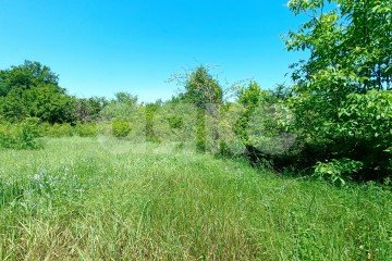 Фото №5: Участок садоводство - Нефтяник, ул. Весёлая, 17