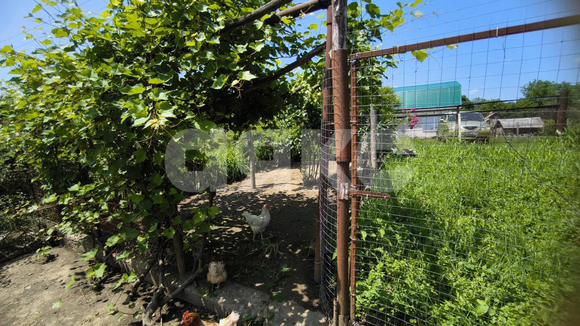 Фото №15: Дом 69 м² + 16 сот. - Кутаис, ул. Калинина