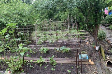 Фото №5: Дом 50 м² - Горячий Ключ, мкр. Курортная Зона, ул. Мира, 13