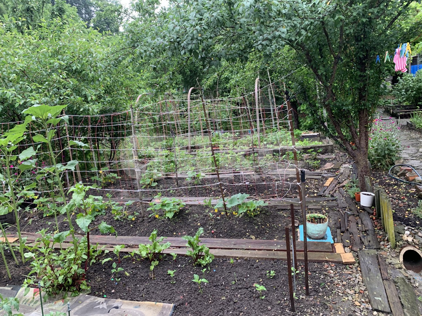 Фото №5: Дом 50 м² + 3.6 сот. - Горячий Ключ, мкр. Курортная Зона, ул. Мира, 13