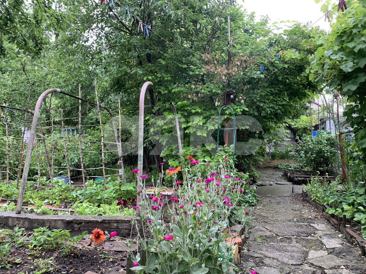 Фото №4: Дом 50 м² + 3.6 сот. - Горячий Ключ, мкр. Курортная Зона, ул. Мира, 13