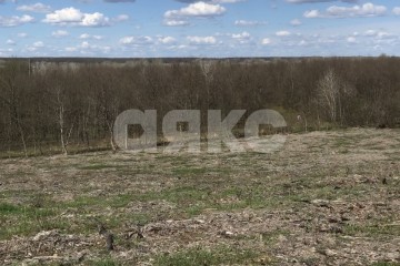 Фото №5: Личное подсобное хозяйство - Горячий Ключ, мкр. Развилка, ул. Станичная