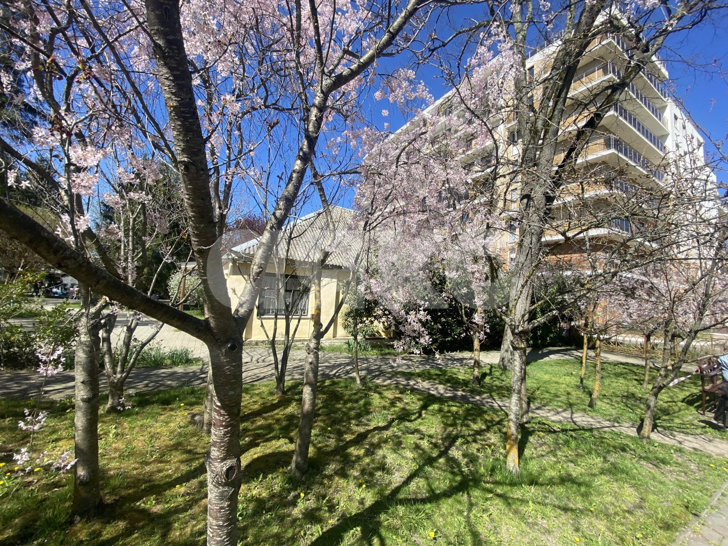 Фото №1: 3-комнатная квартира 85 м² - Горячий Ключ, Курортная Зона, мкр. Курортная Зона, ул. Ленина, 1