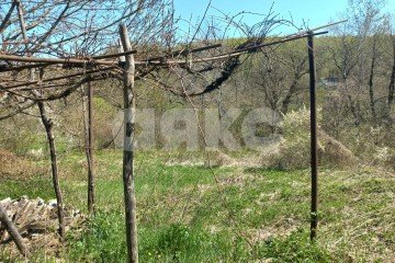 Фото №3: Земельный участок под ИЖС - Широкая Балка, ул. Центральная