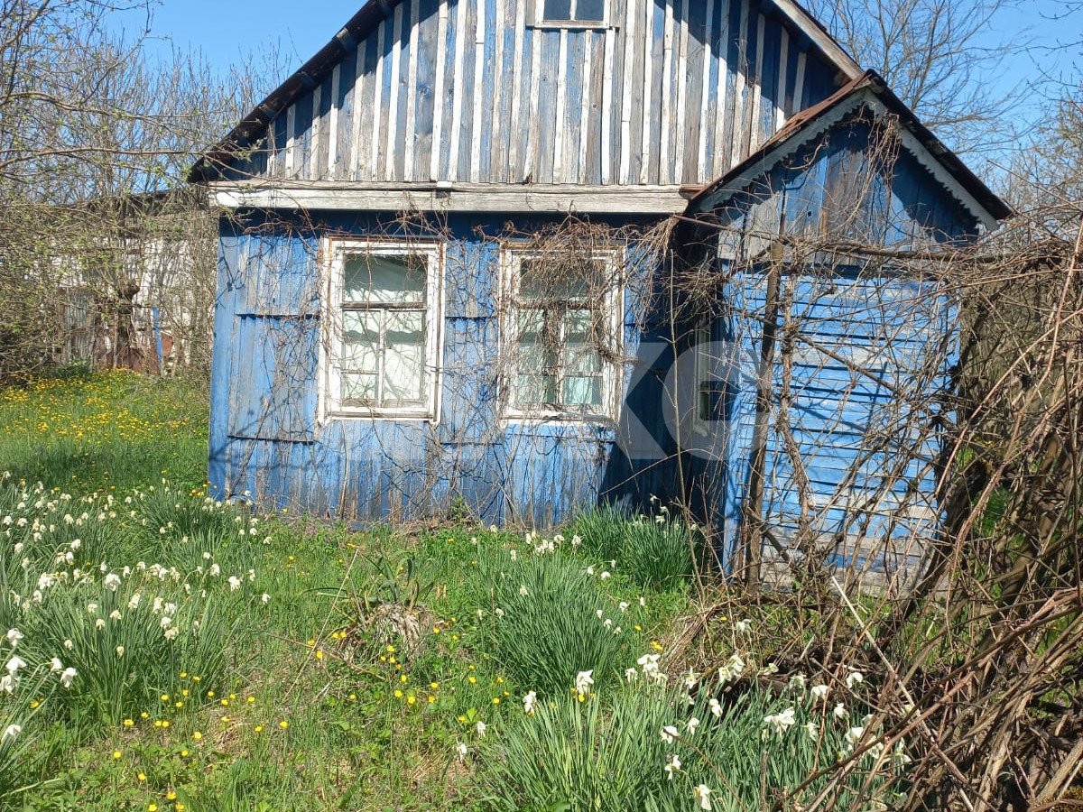 Фото №2: Земельный участок под ИЖС 15 сот. - Широкая Балка, ул. Центральная