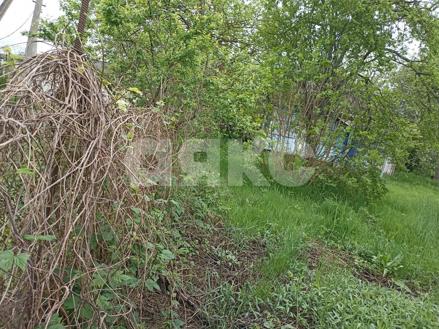 Фото №5: Земельный участок под ИЖС 8 сот. - Саратовская, ул. Псекупская