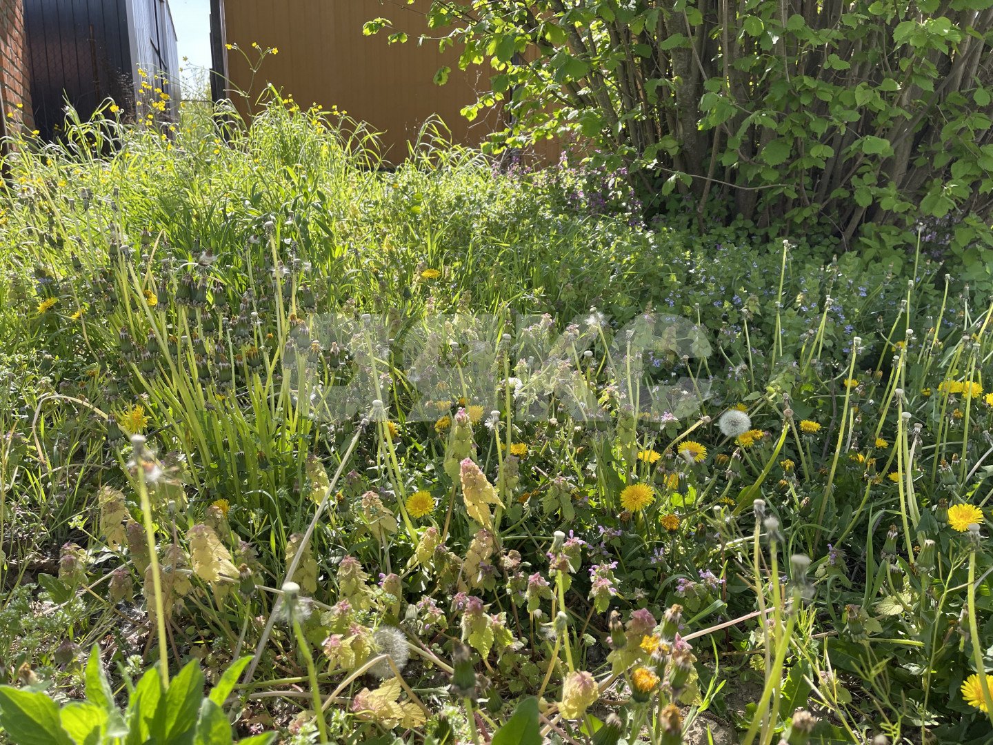 Фото №11: Земельный участок под ИЖС 9.1 сот. - Горячий Ключ, Дубрава, Развилка, жилой комплекс Дубрава, Администрация, жилой комплекс Горячий, Развилка, мкр. жилой комплекс Дубрава, ул. Ярославского