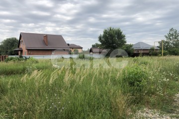 Фото №5: Личное подсобное хозяйство - Саратовская, ул. Весенняя