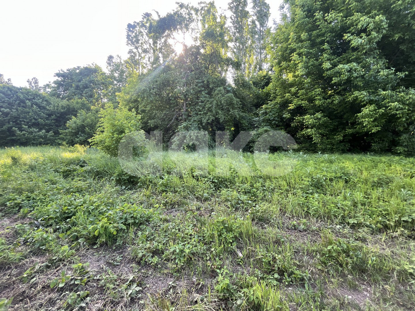 Фото №5: Земельный участок под ИЖС 6 сот. - Саратовская, мкр. 4-й, ул. Виноградная