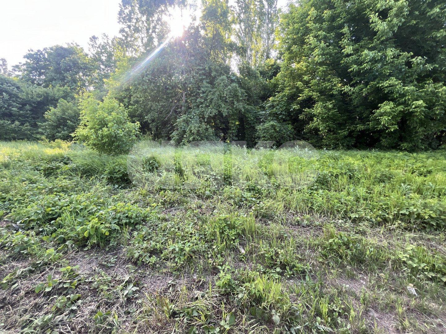 Фото №6: Земельный участок под ИЖС 6 сот. - Саратовская, мкр. 4-й, ул. Виноградная