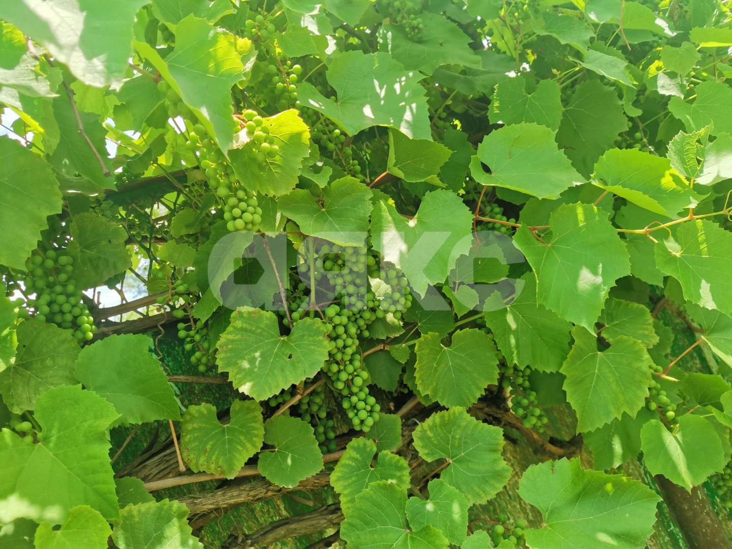 Фото №15: Дом 64 м² + 10 сот. - Суздальская