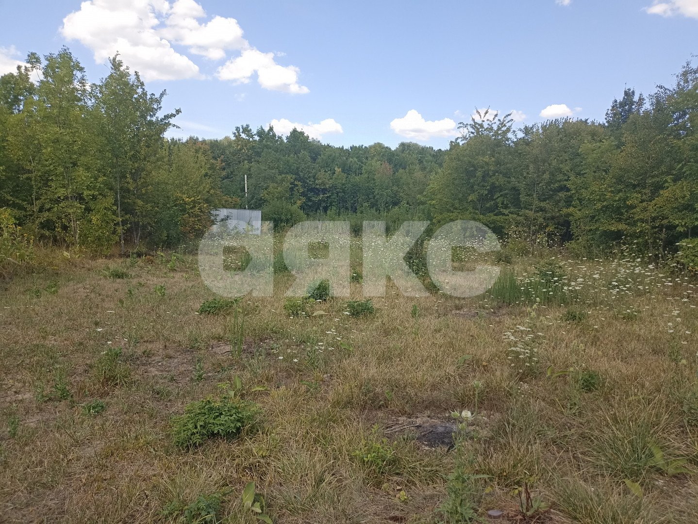 Фото №4: Земельный участок под ИЖС 6 сот. - Саратовская, мкр. 4-й, ул. Ежевичная