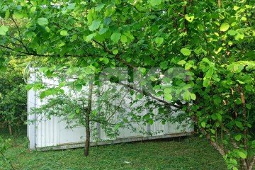 Фото №4: Участок садоводство - Октябрьский, ул. Мира, 39