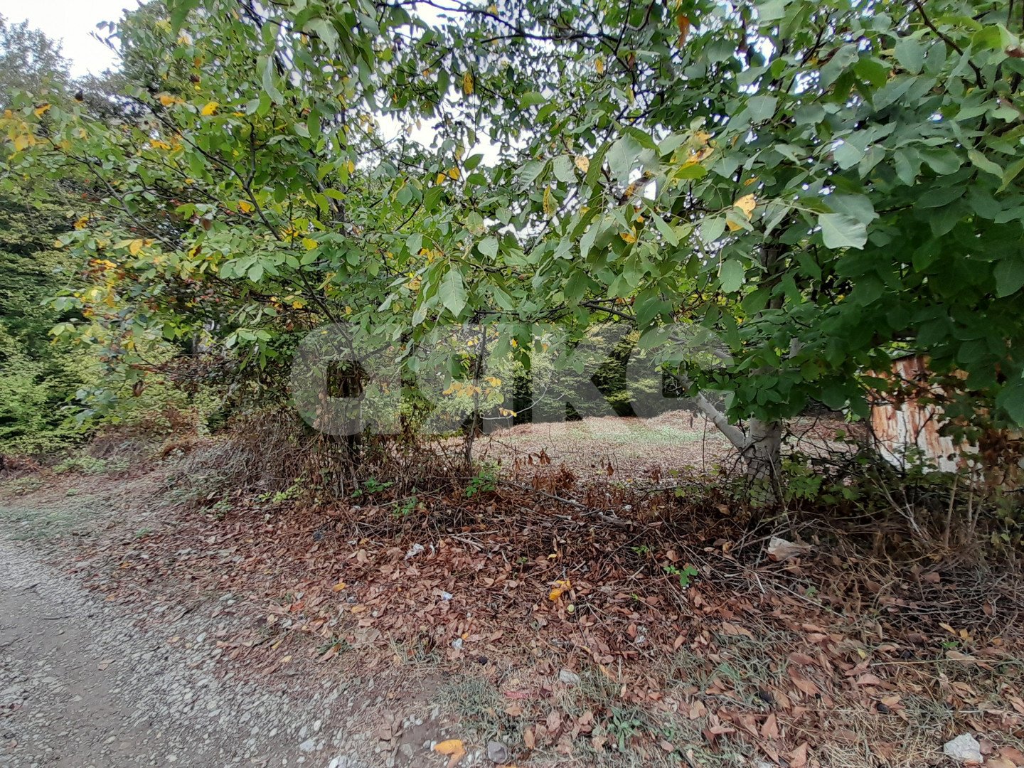 Фото №8: Участок садоводство 8 сот. - Горячий Ключ, Городская Больница, Кунпанова Поляна, Городская Больница, ст Кунпанова Поляна, ул. Грибная