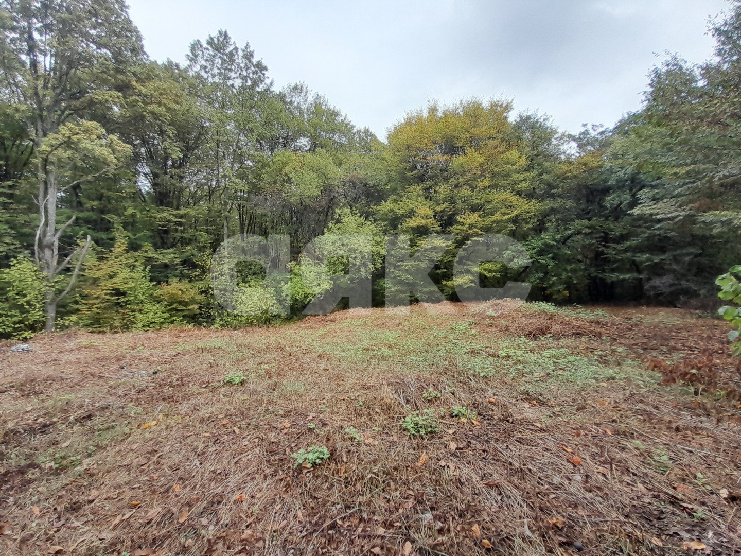 Фото №12: Участок садоводство 8 сот. - Горячий Ключ, Городская Больница, Кунпанова Поляна, Городская Больница, ст Кунпанова Поляна, ул. Грибная