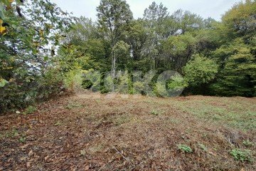 Фото №3: Участок садоводство - Горячий Ключ, ст Кунпанова Поляна, ул. Грибная