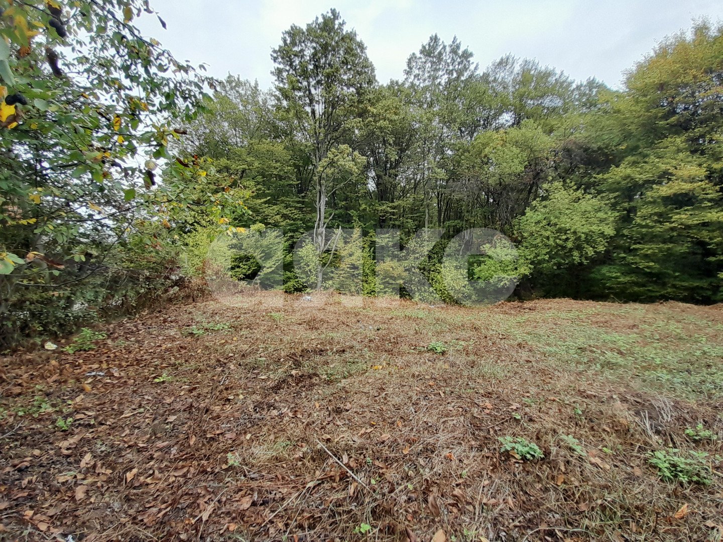 Фото №3: Участок садоводство 8 сот. - Горячий Ключ, Городская Больница, Кунпанова Поляна, Городская Больница, ст Кунпанова Поляна, ул. Грибная