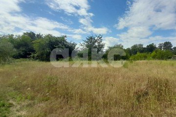 Фото №3: Личное подсобное хозяйство - Кутаисская, 